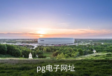 了解pg电子网址