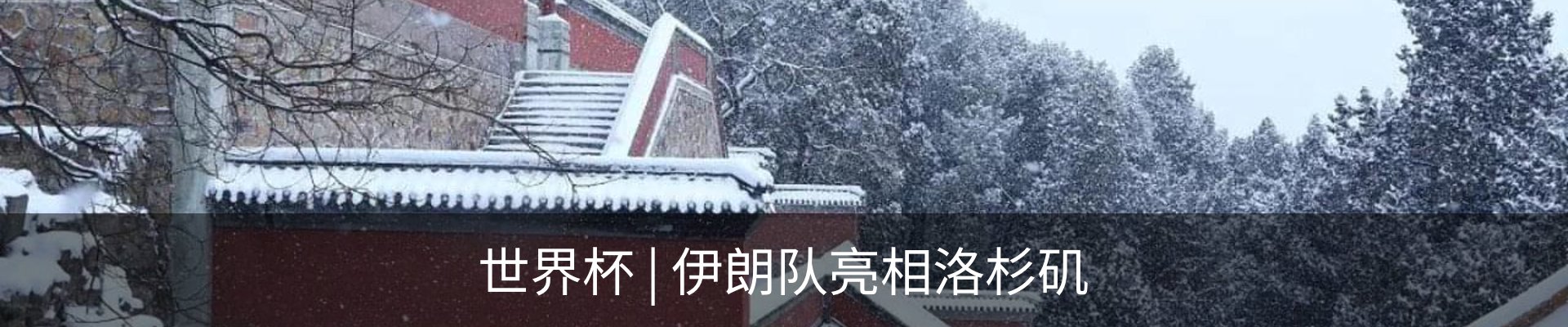 资讯动态
