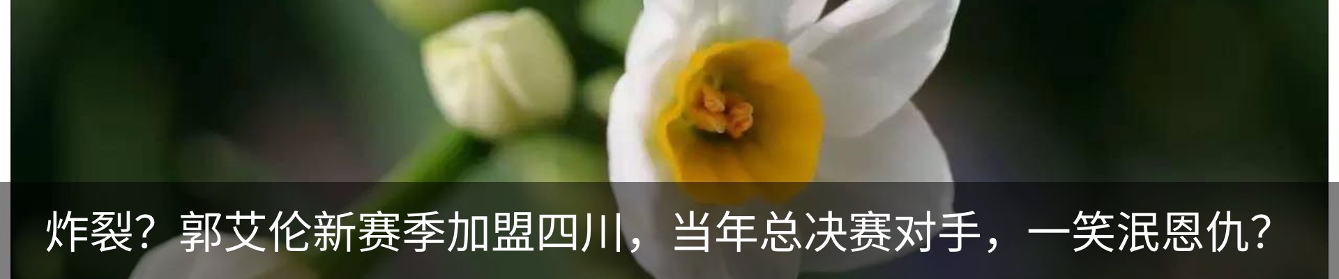 资讯动态